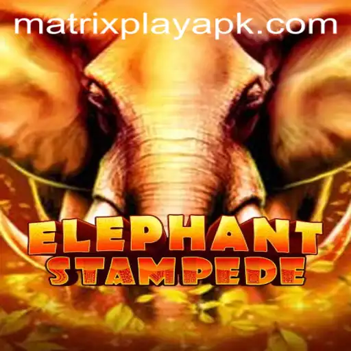 Discover the Excitement of ElephantStampede: A Journey into the MatrixPlay Universe