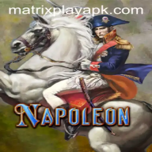 Napoleon: A Journey into MatrixPlay and the Tactical World of Strategy